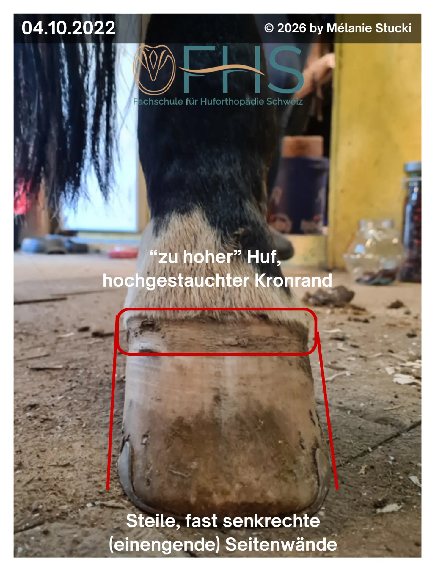 Huf vor der huforthopädischen Begleitung