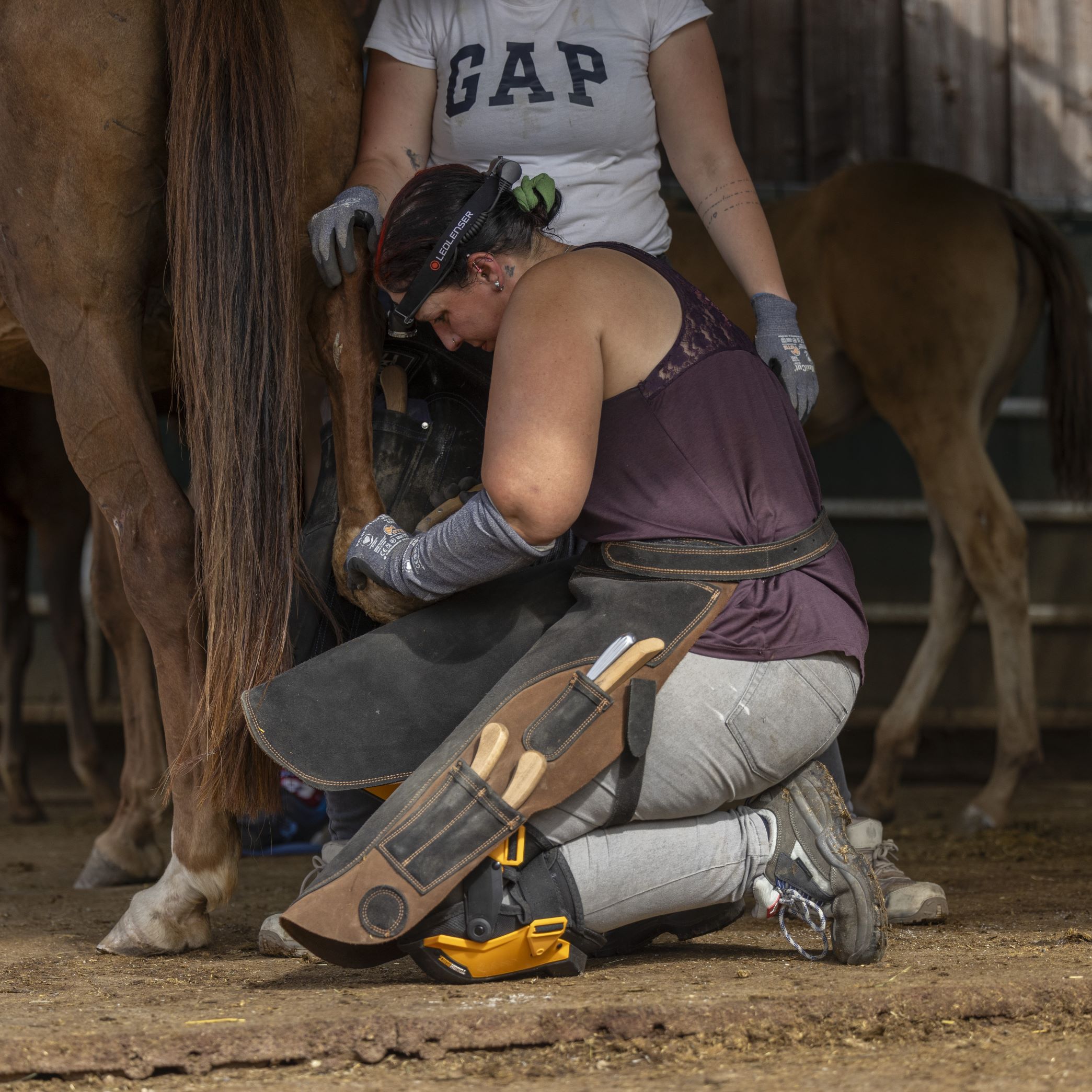 Zwei Schülerinnen bei der huforthopädischen Hufbearbeitung – Teamarbeit für gesunde Pferdehufe