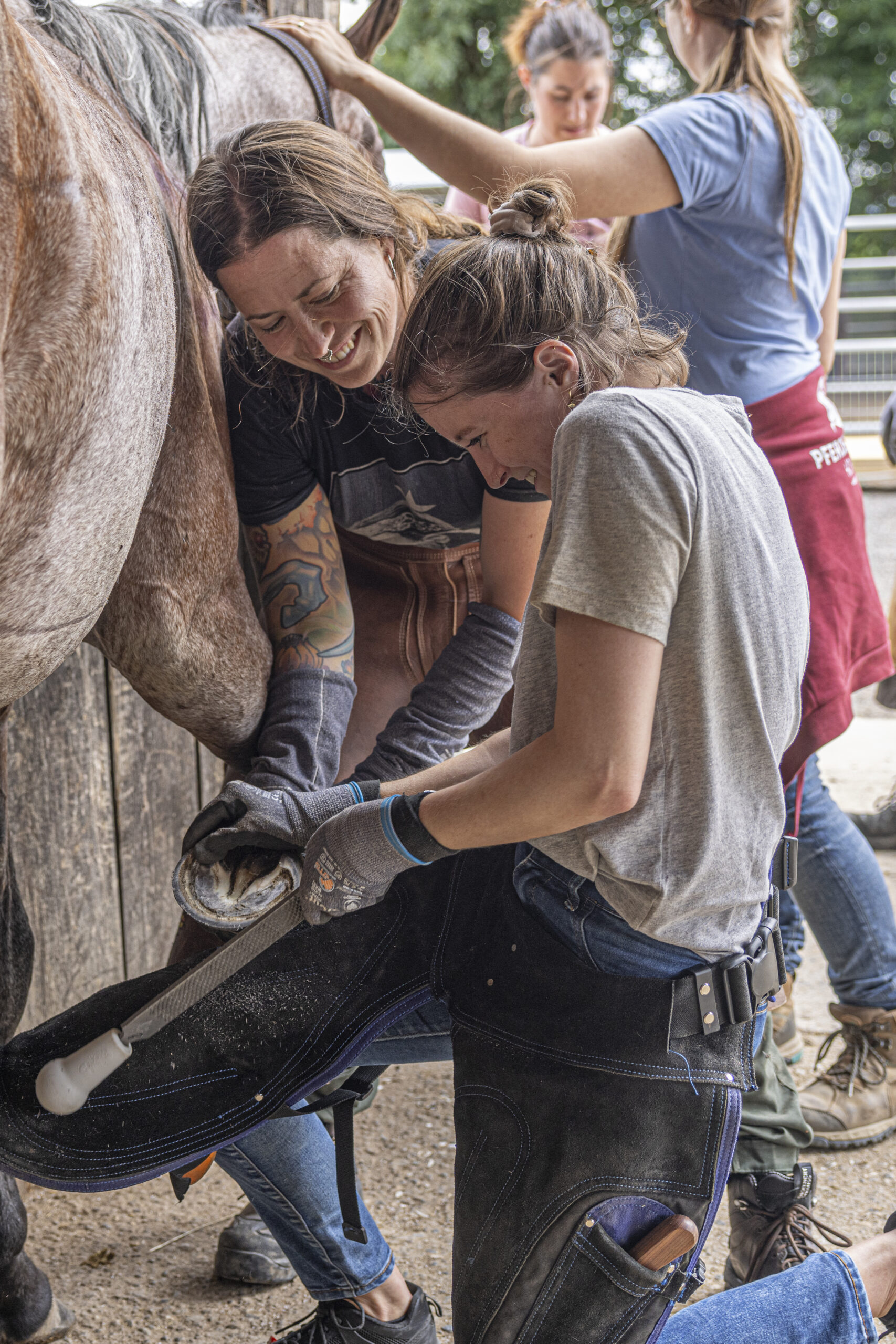 Zwei Huforthopädinnen feilen gemeinsam an einem Pferdehuf.