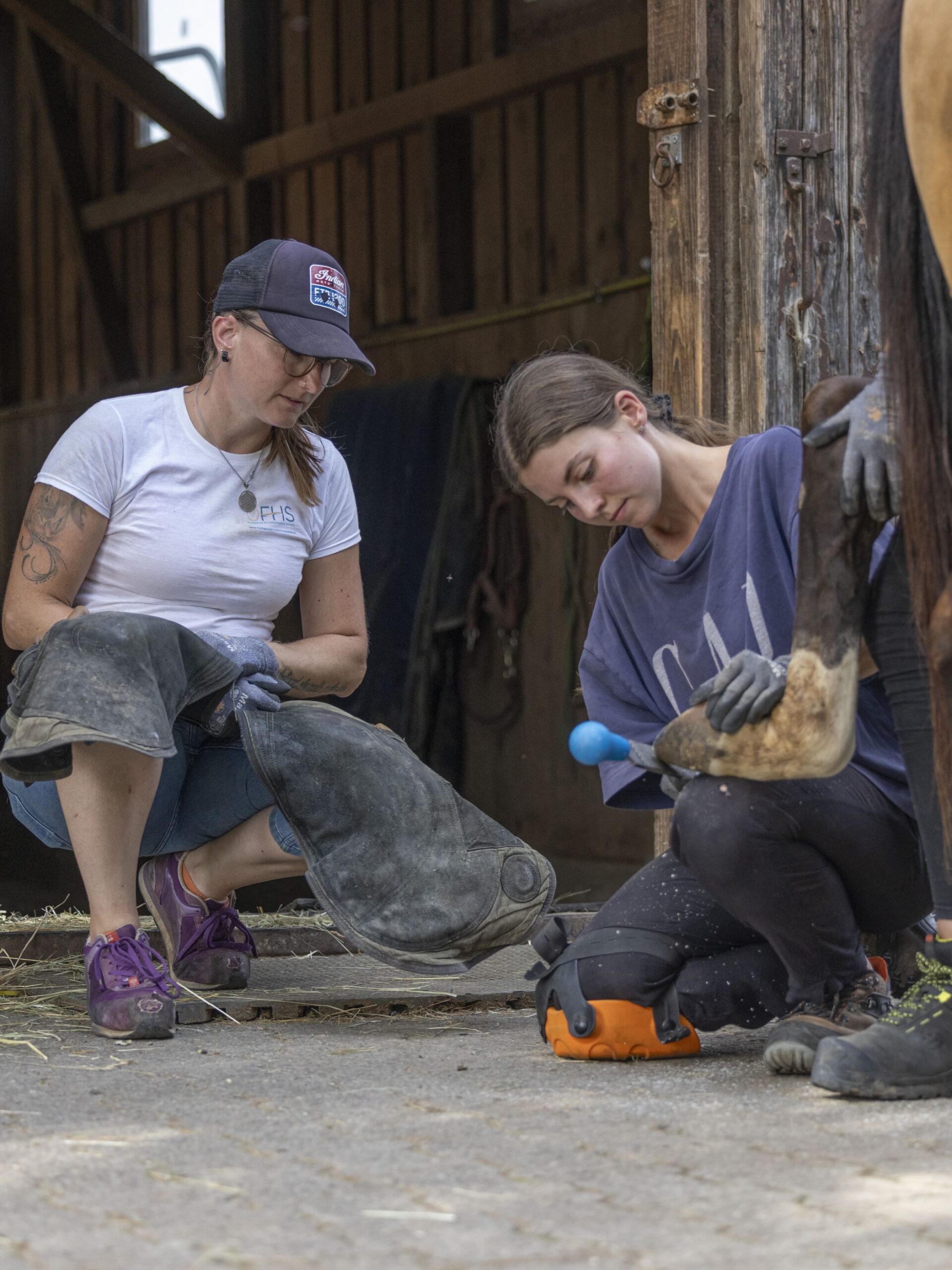Ausbilderin begleitet Schülerin bei der Hufbearbeitung am Pferd während der Huforthopädie-Ausbildung