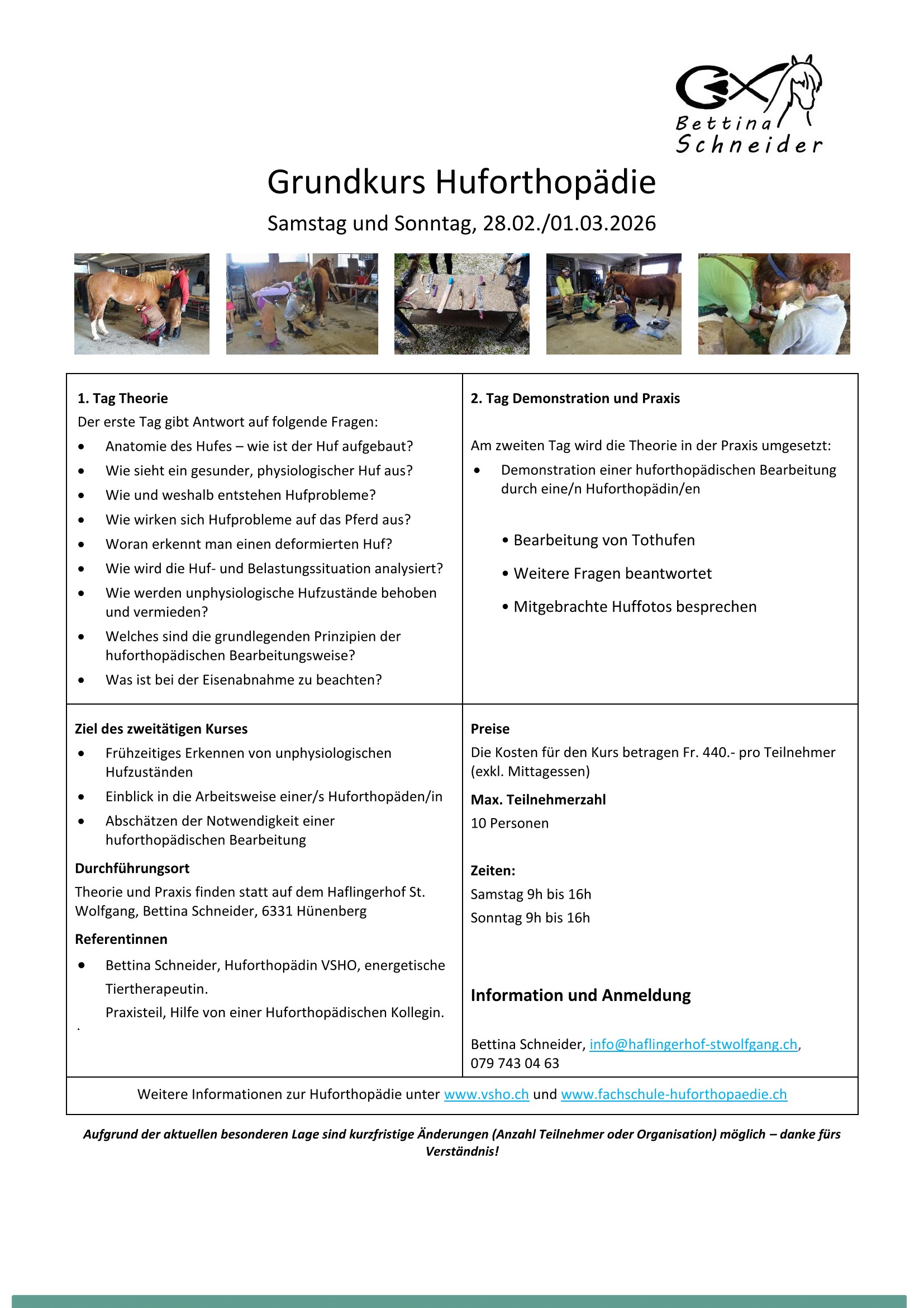 Flyer zum Grundkurs Huforthopädie VSHO am 28.02.-01.03.2026 mit Theorie und Praxis zu Hufanatomie, Hufgesundheit und huforthopädischer Bearbeitung, inklusive Kursinfos, Referentinnen und Praxisfotos.